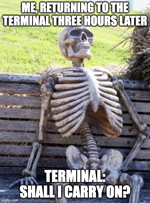 A skeleton sitting on a park bench, having waited so long it died. Caption: "Me, returning to the terminal three hours later." The terminal reads: "Shall I carry on?"